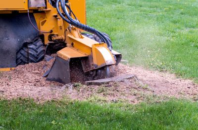Improve Mowing and Maintenance with Stump Grinding Service!