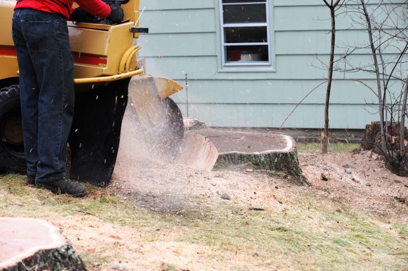 Local Tree Stump Grinding pros at work