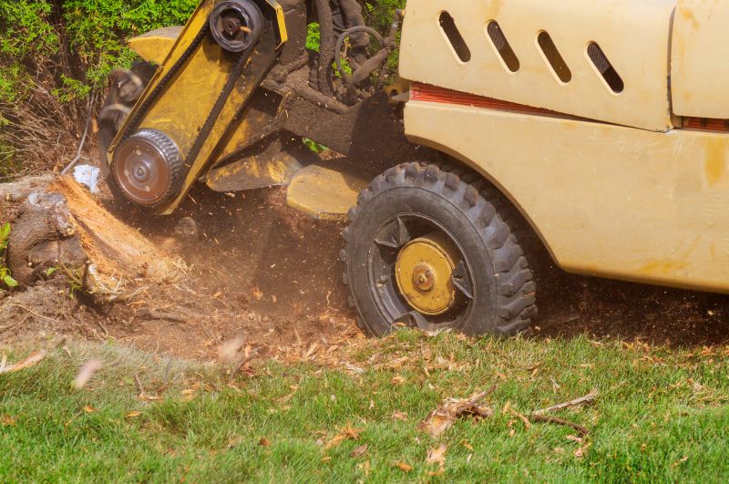 Tree Stump Grinding