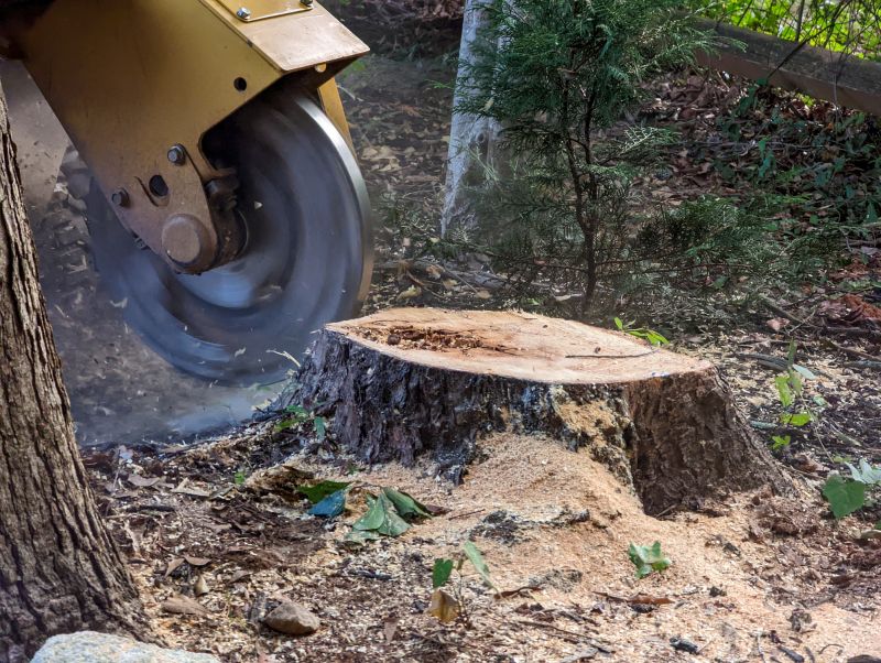 Bush Stump Grinding in Prince Georges County, MD
