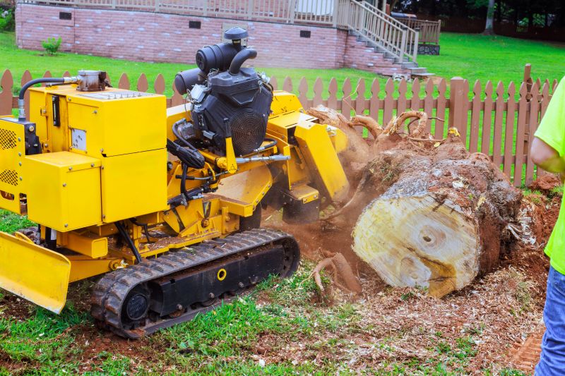 Bush Stump Grinding in Prince Georges County, MD