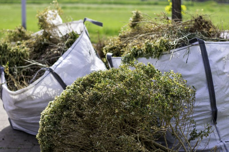Bushes Clearing in Atlanta, GA