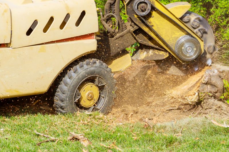 Commercial Stump Grinding in Prince Georges County, MD
