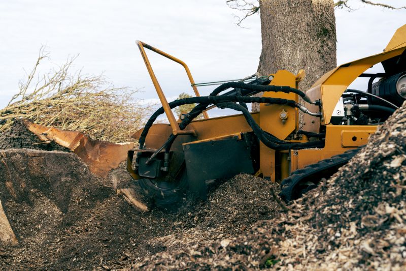 Commercial Stump Grinding in Prince Georges County, MD