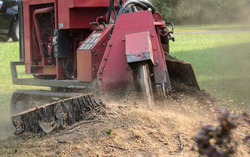 Commercial Stump Grinding in Calvert County, MD