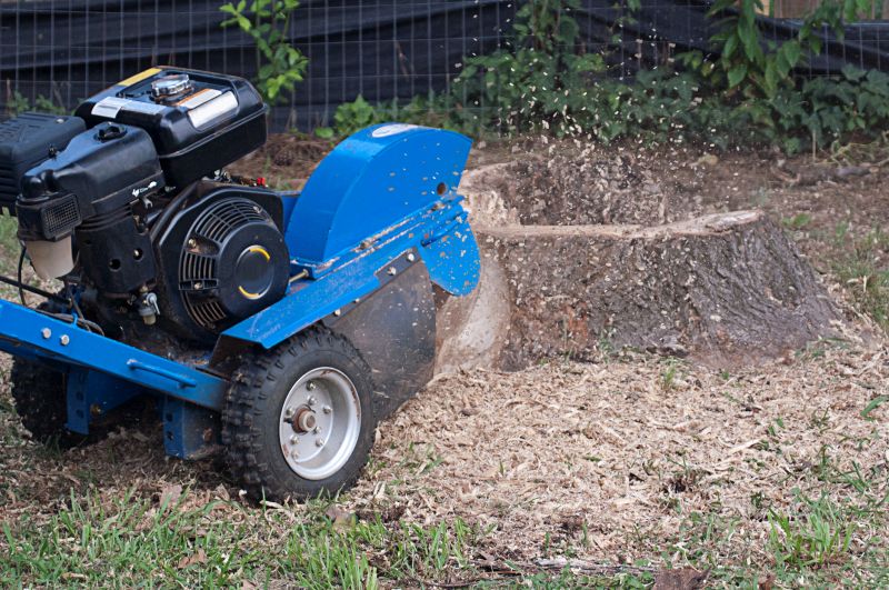 Commercial Stump Grinding in Bucks County, PA