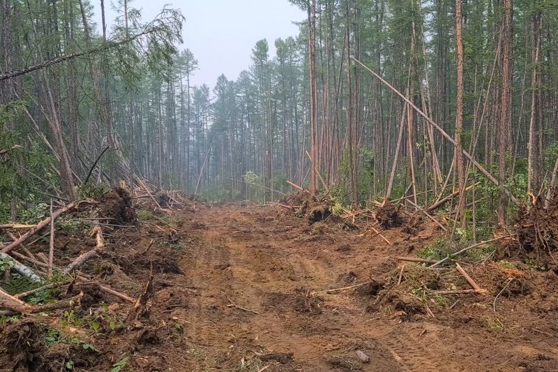 Land Clearing in Marietta, GA