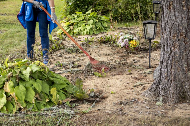 Site Clearing Service in Houston, TX