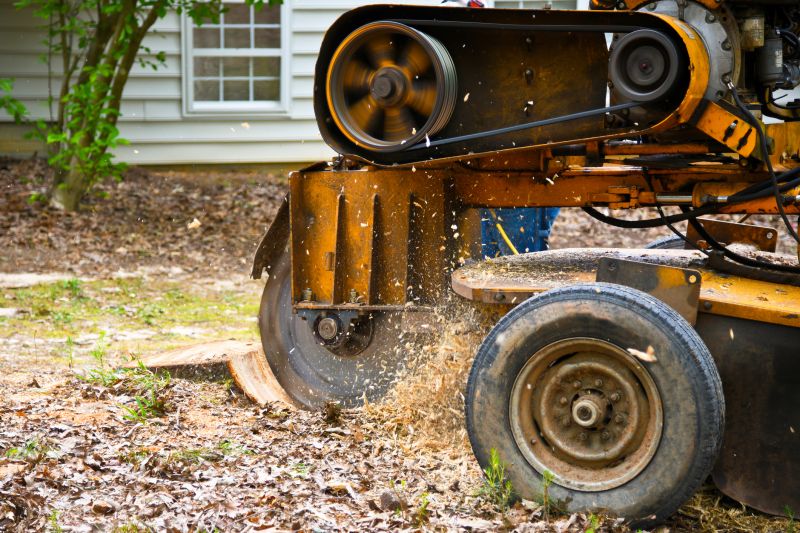 Stump Grinder in Operation