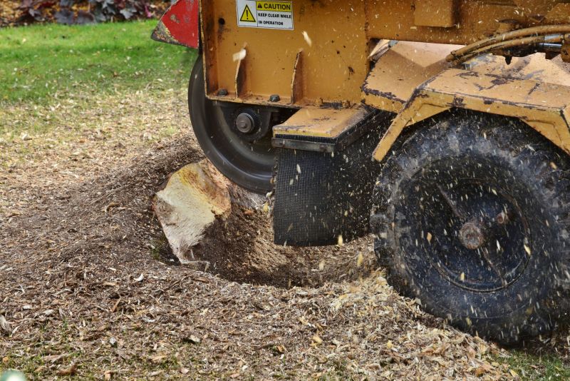Stump Grinding Equipment in Action
