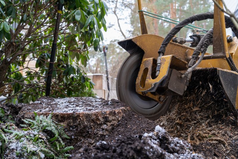 Tree Root Grinding in Prince Georges County, MD