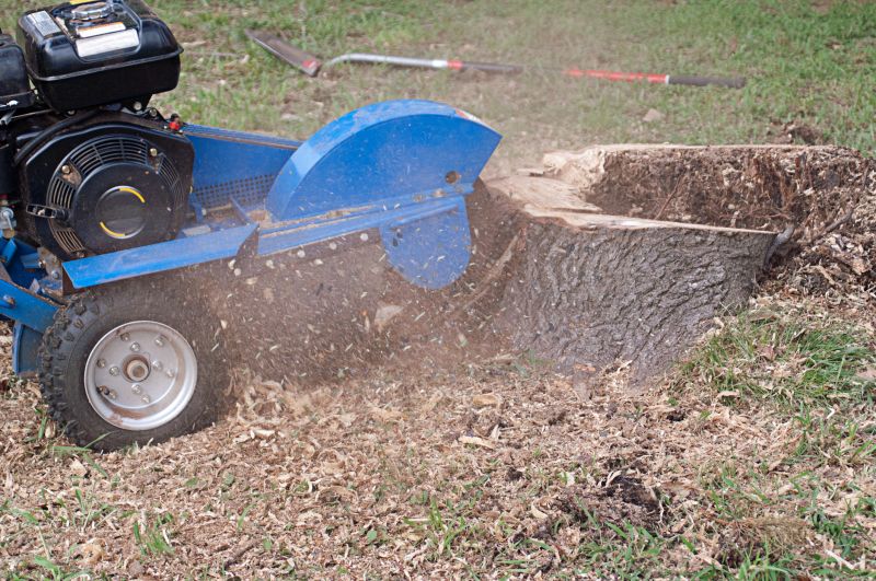 Tree Stump Grinding Costs — Cost of Tree Stump Grinding