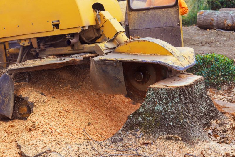 Tree Stump Grinding