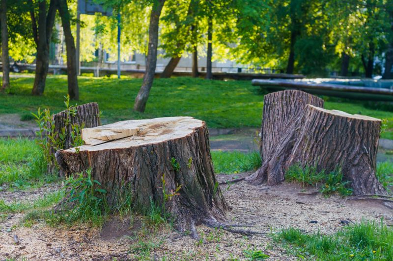 Tree Stump Removal in Prince Georges County, MD