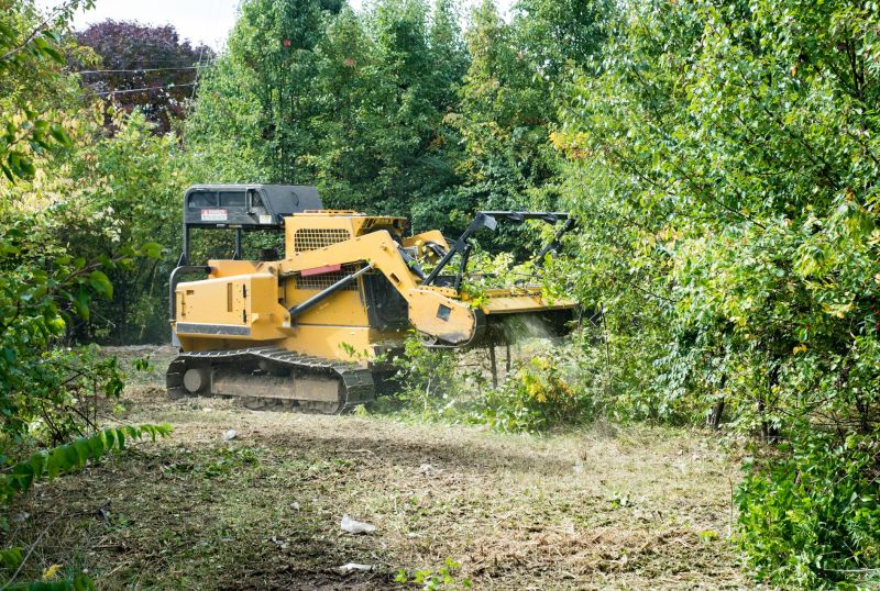 Undergrowth Removal in Salt Lake City, UT
