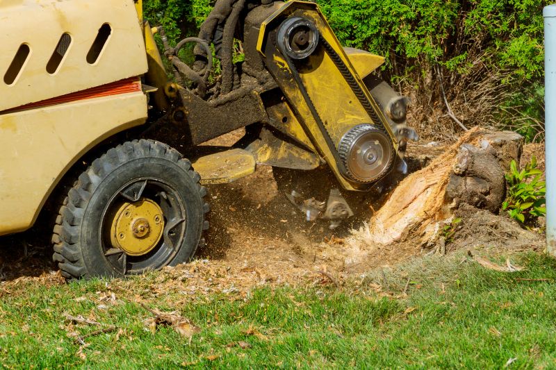 Spring stump grinding