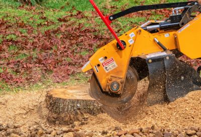 Improve Aesthetics with Stump Grinding Service!